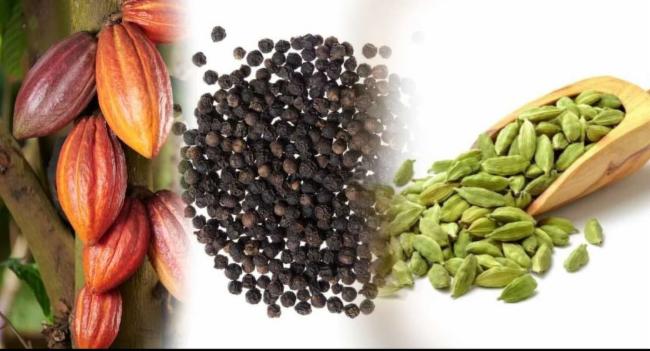 செய்கையாளர்களுக்கு நிவாரணம்